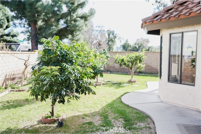 Photo - 183 S Starflower St