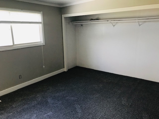 Photo - Home close to WSU with secluded yard