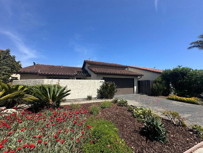 Spacious 3/2 Mesa Home in Washington Schoo... - Spacious 3/2 Mesa Home in Washington Schoo...