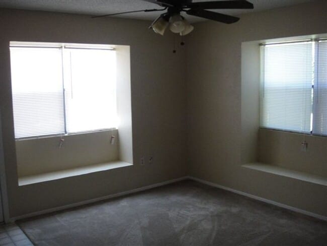 Photo - AVAILABLE MID JANUARY!