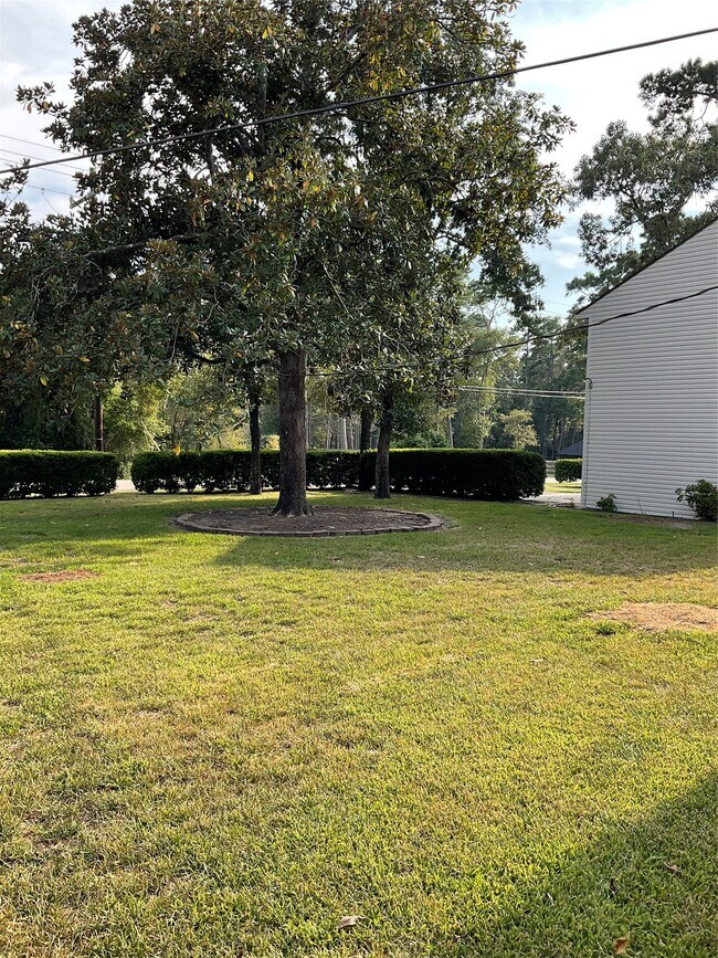 Photo - 3113 Wilson Rd