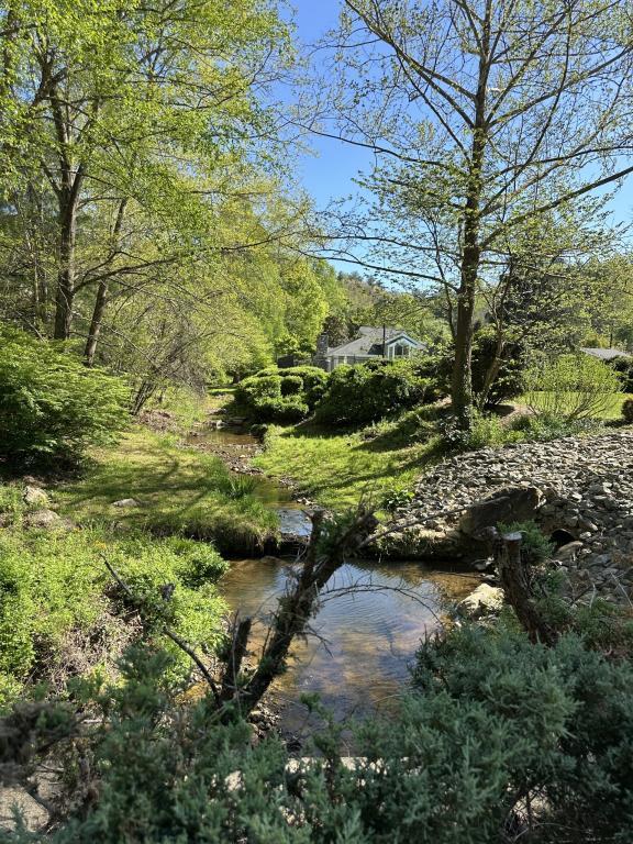 Photo - 14 Willow Tree Run