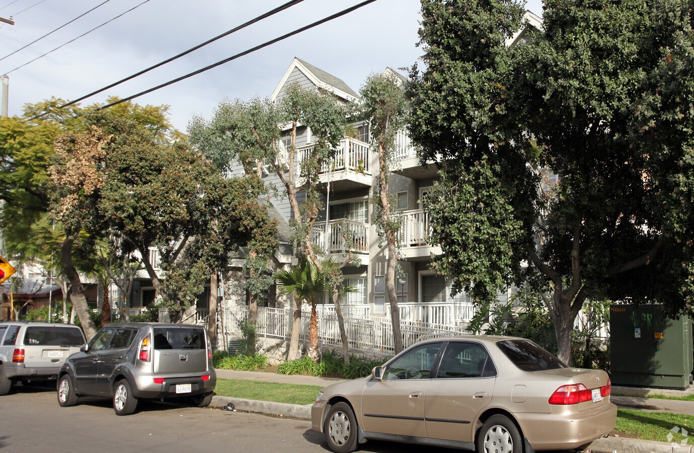 Walnut Pacifica - Walnut Pacifica