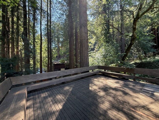 Photo - BEAUTIFUL THREE BEDROOM / TWO BATH MILL VALLEY HOME NEAR TOWN! SET IN THE REDWOODS