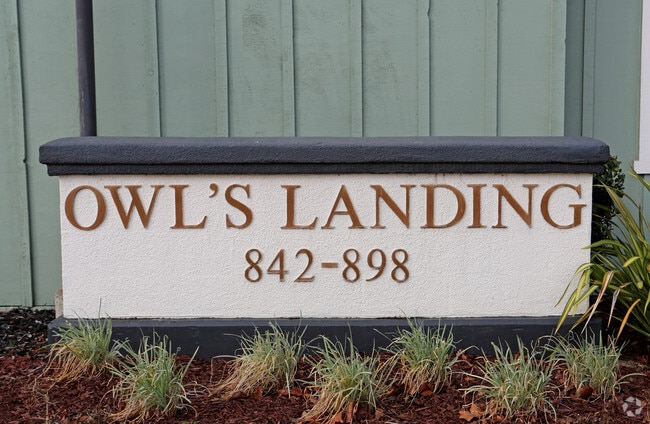 Photo - Owl's Landing