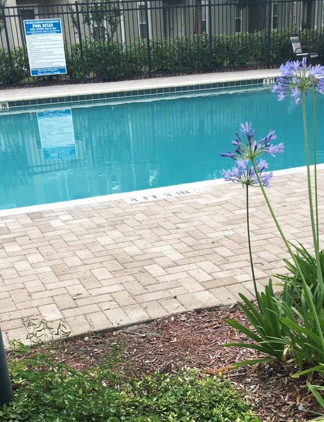 Pool - 6094 Maggies Cir Unit 111
