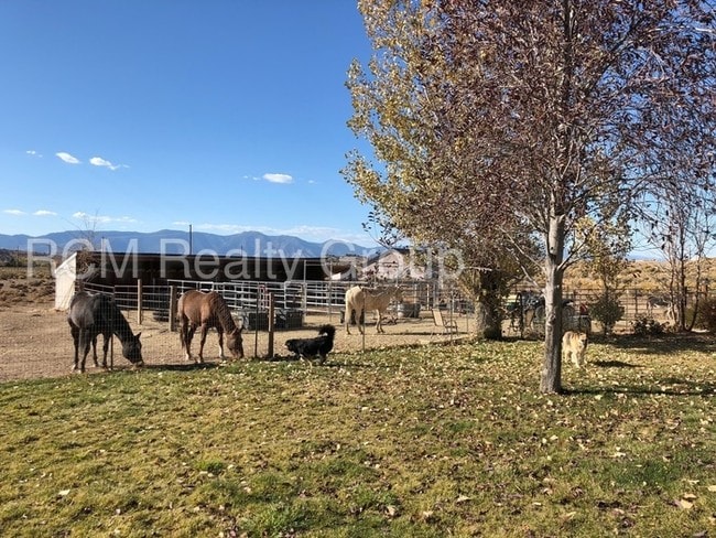 HORSE PROPERTY! - HORSE PROPERTY!