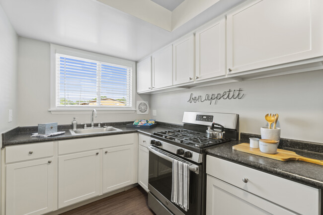 Lexington 1BR, 1BA - 669SF - Kitchen