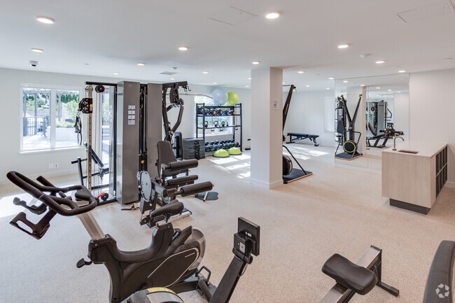 Fitness Centre - The Layla