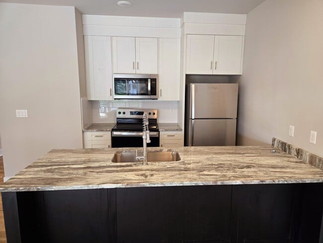 Modern and Chic Kitchen - 516 North Main Apartments