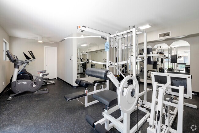 Gimnasio