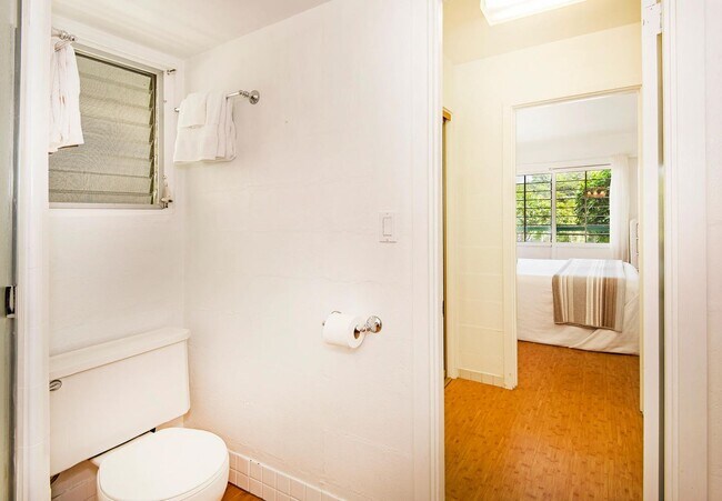 Photo - Diamond Head Ambassador #201