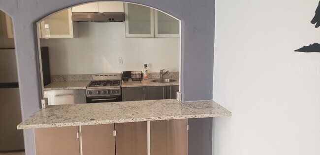 Open kitchen with counter top/bar - 133 S Elm Dr Unit Apt J