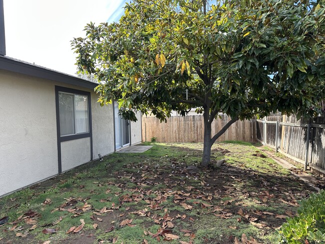 Photo - 1371 Marline Ave