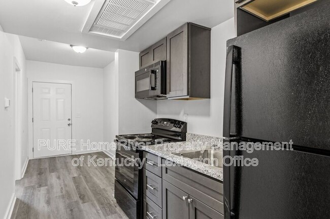 725 E College St Unit 725 E College Street Unit 6