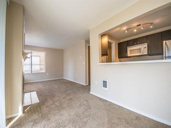 Photo - View At Bitter Lake