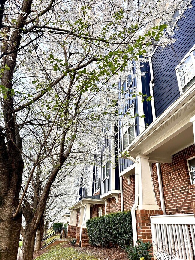 Photo - 1600 Walnut View Dr