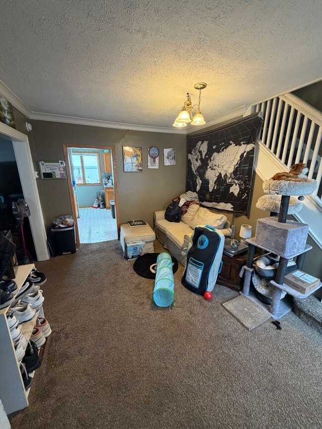 Photo - AVAILABLE JUNE - 5 Bed 2 Bath In East Hillside