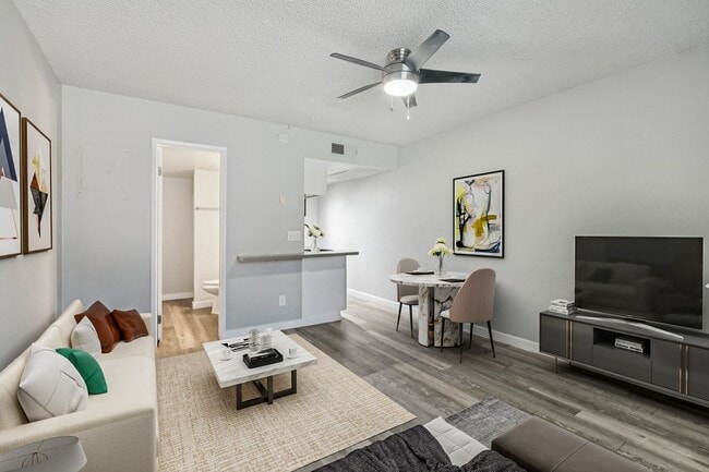 Photo - Aster on University