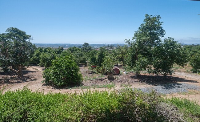 Photo - 3 Bedroom Ranch-Style Home on Avocado Grove Property in South Morro Hills
