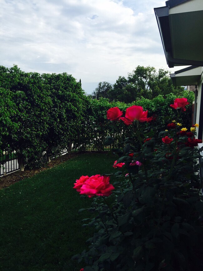 Photo - 261 N Florence St Unit 261 n Florence St