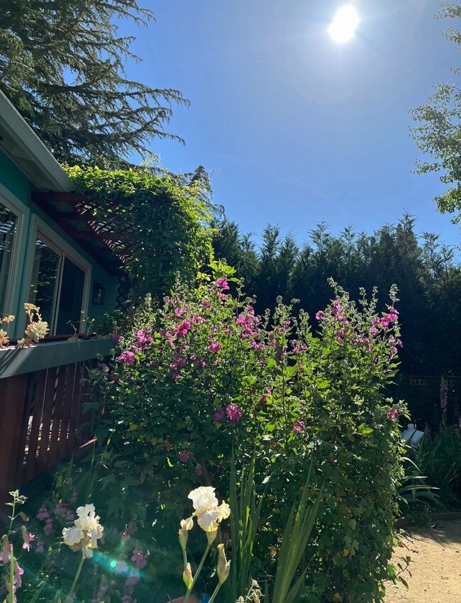 Photo - 14717 Carrier Ln