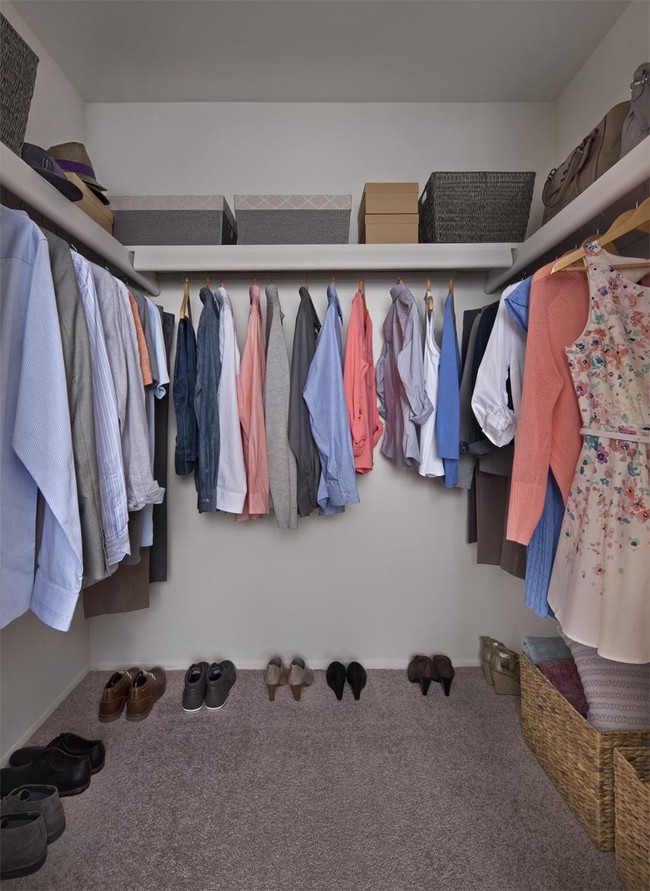 Walk-in Closet