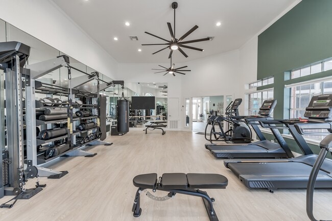 Brightly lit, reimagined fitness studio