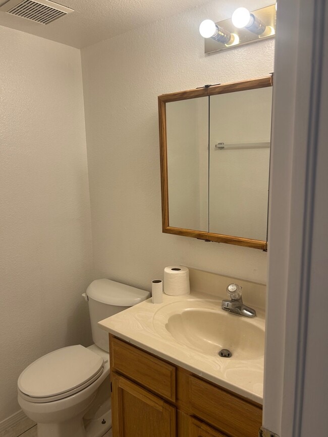 Guest bathroom - 1345 Trudy Elaine Dr Unit A