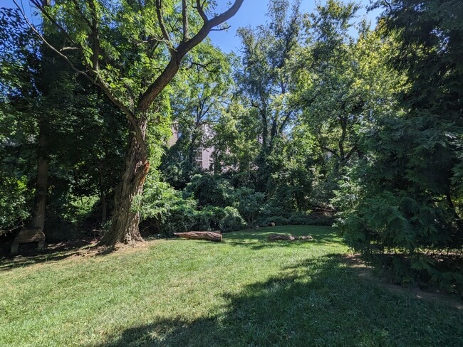 Section of the yard/green space around Thayer Towers - 575 Thayer Ave Unit 106