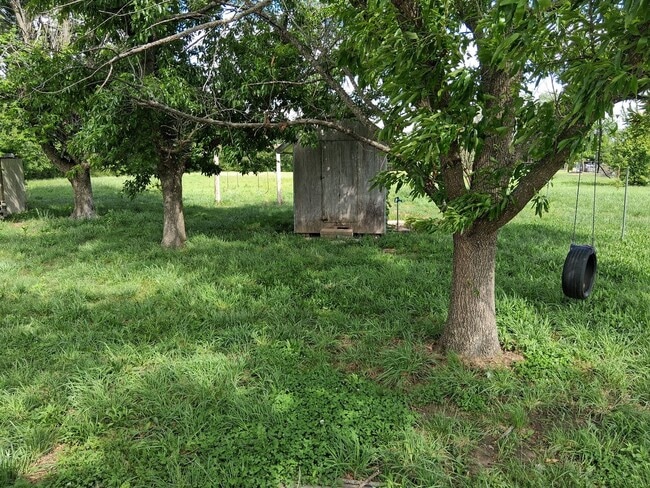 Photo - Charming 4BR Home in Cave Springs