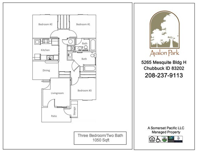 3bdr Flat FP - Avalon Park Apartments
