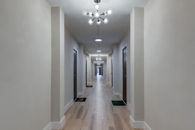 Updated Studio Apt in Dogtown! - Updated Studio Apt in Dogtown! Unit 6244 Oakland Ave #103