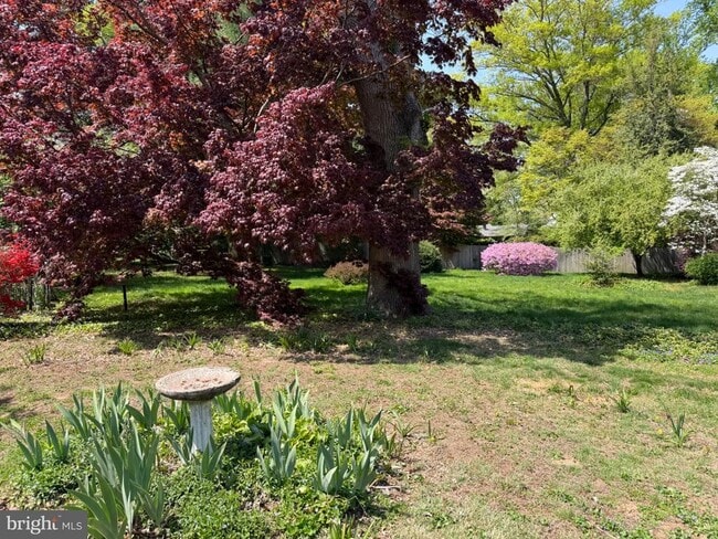 Photo - 74 Black Rock Rd