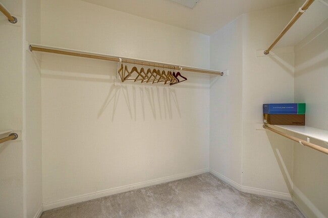 Building Photo - STUNNING 3 BEDROOM 2 FULL BATH FIRST FLOOR... Rental
