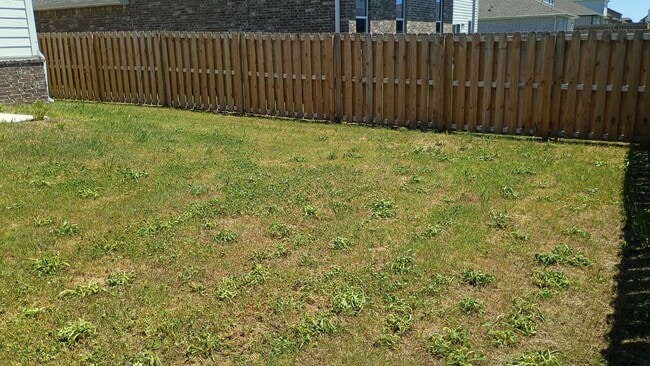 Photo - 2141 Bluebonnet Ln