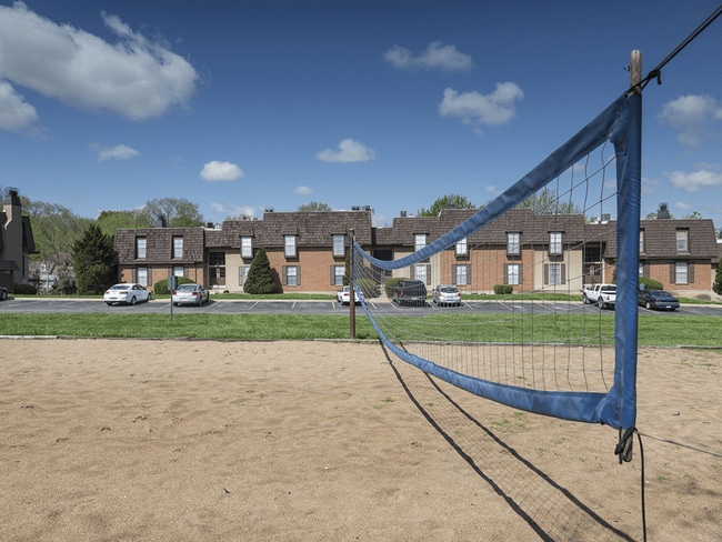 Sand Volleyball Court!