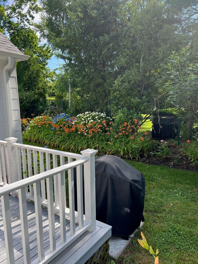 Photo - 44 Cooper St