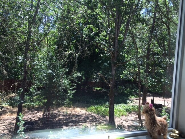 Photo - 2BED 2BATH - NEWLY RENOVATED, YARD, WASHER DRYER, STORAGE, NEAR DOWNTOWN