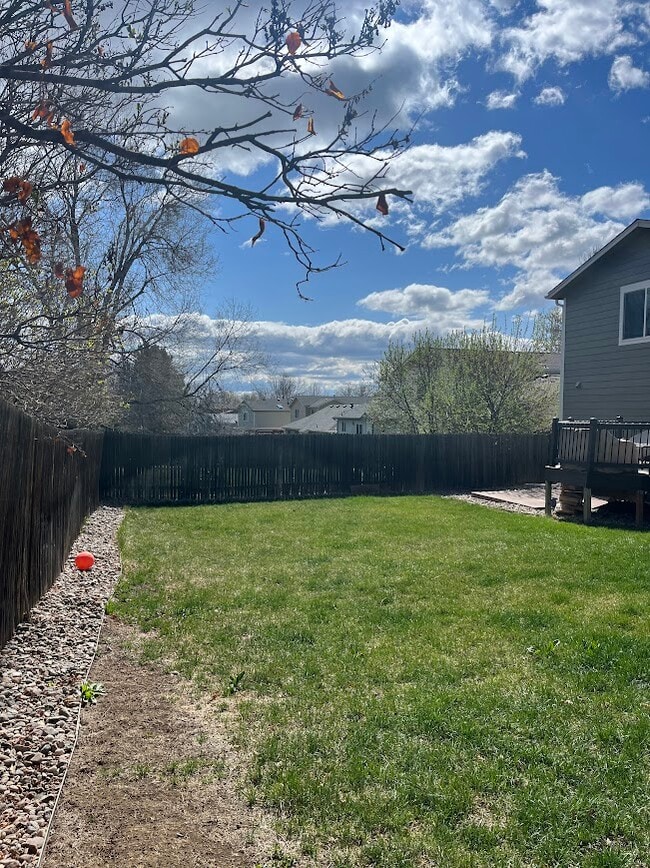 Photo - 330 Derry Dr