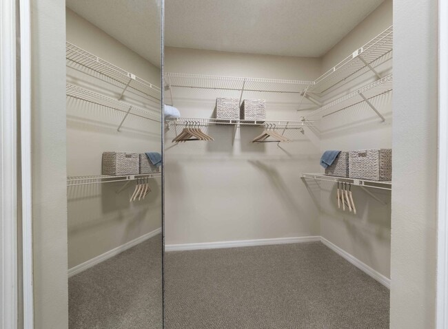Spacious walk-in closet with ample storage space