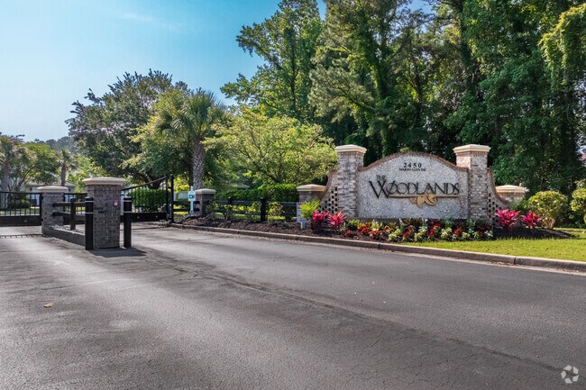 Vista de entrada. - The Woodlands