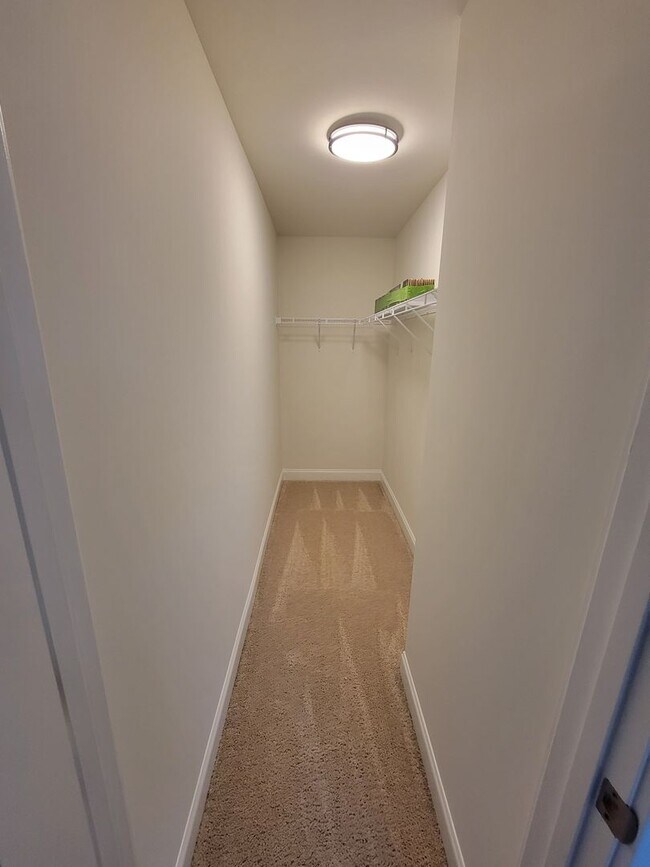 234 Thacher Lp