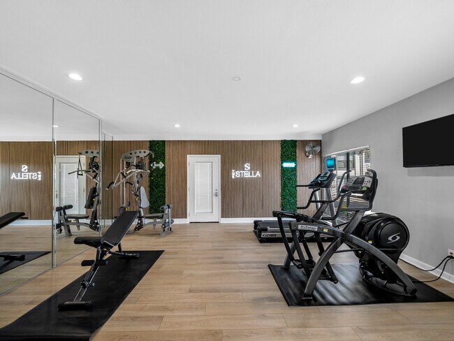 The Stella - Gimnasio