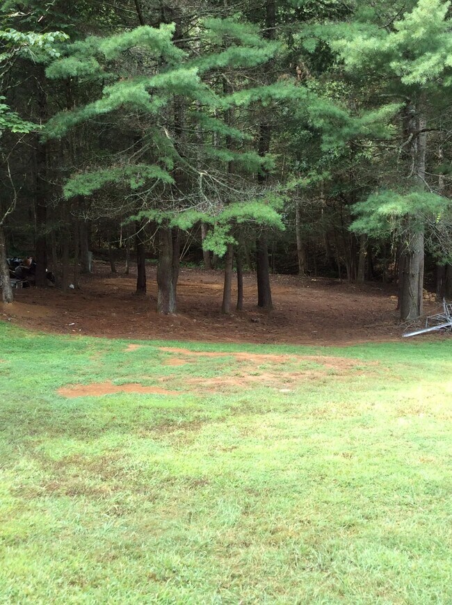 Bell Hill Ranch Rental House Rental in Murphy, NC