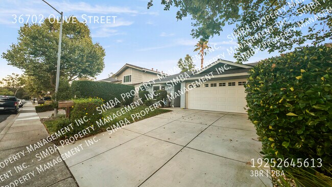 Photo - 36702 Olive St