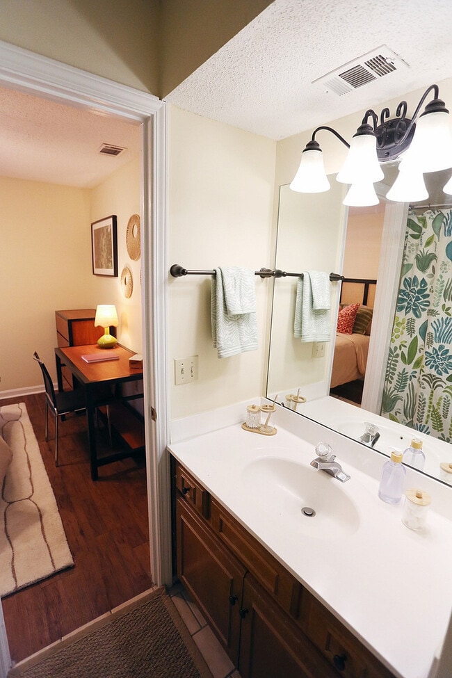 Bathroom-Vanity-The-Vine-at-Bermuda-Run-Apartments-Near-GSU