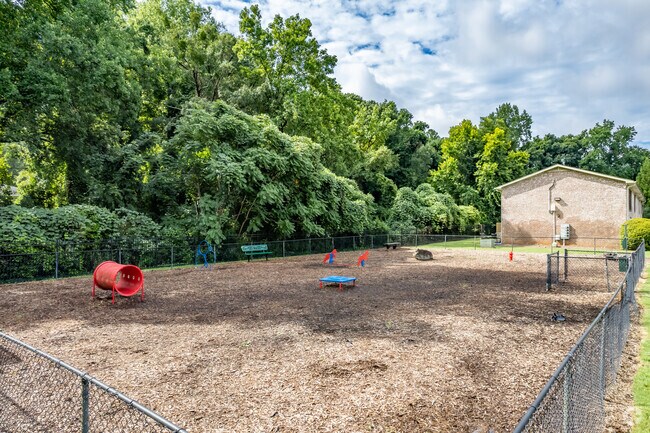 Dog Park