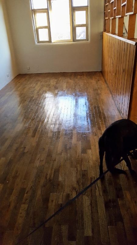 Photo - 126 Fiesta St