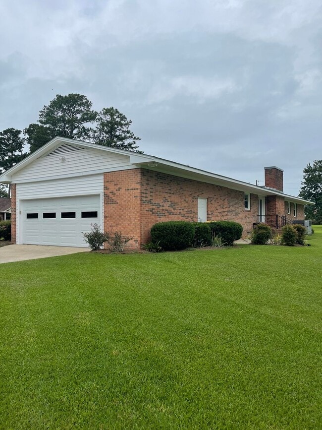 Photo - Darling on Deborah